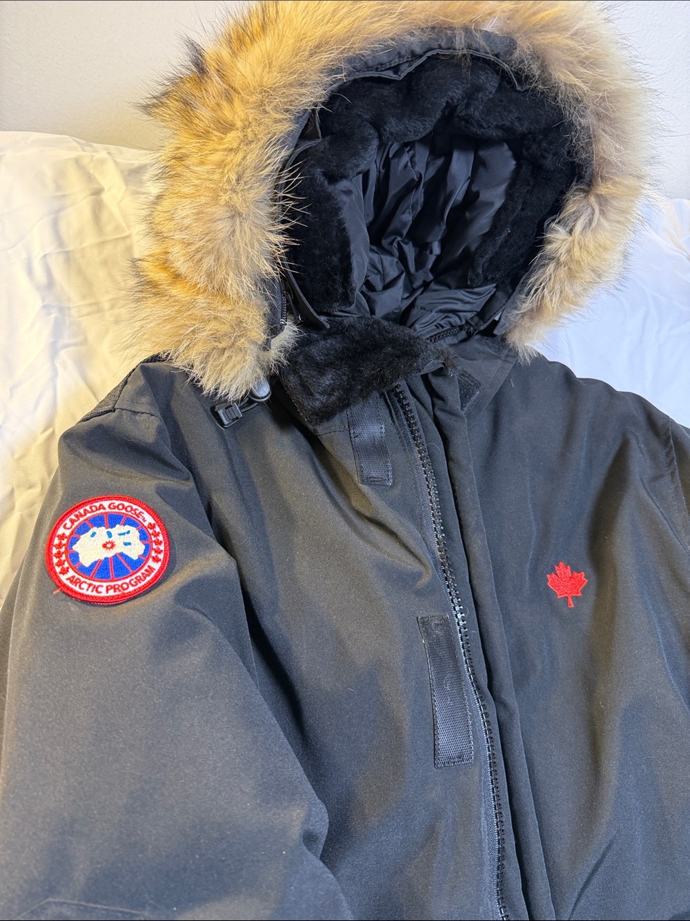 Canada Goose Black Mens Puffer Parka with Coyote Fur-Trim Hood - Picture 2 of 6